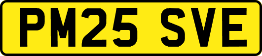 PM25SVE
