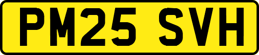 PM25SVH