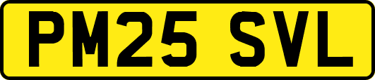 PM25SVL