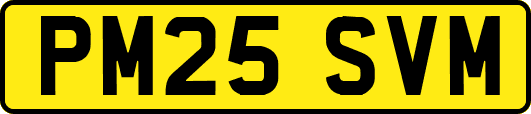 PM25SVM