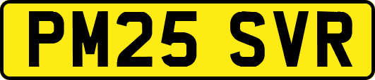 PM25SVR