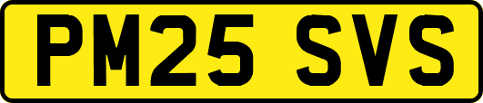 PM25SVS