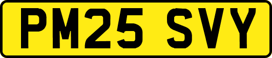 PM25SVY