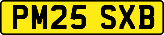 PM25SXB