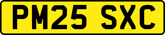PM25SXC