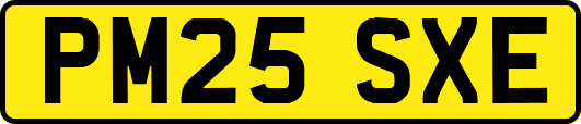 PM25SXE