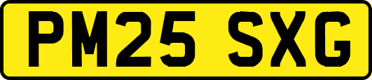 PM25SXG