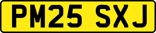 PM25SXJ
