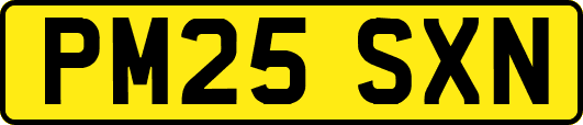 PM25SXN