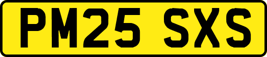 PM25SXS