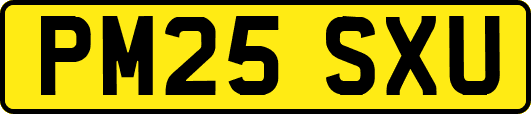 PM25SXU