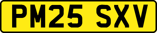 PM25SXV