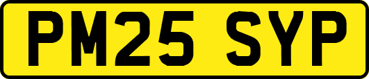 PM25SYP