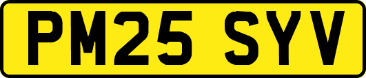 PM25SYV