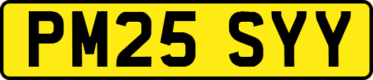 PM25SYY
