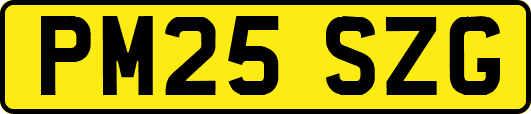 PM25SZG