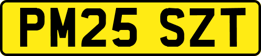 PM25SZT