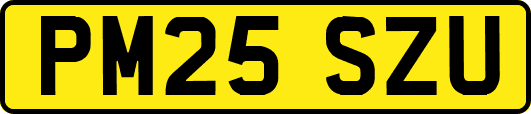PM25SZU