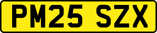 PM25SZX