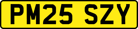 PM25SZY