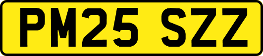 PM25SZZ