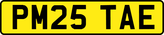 PM25TAE