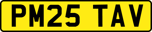 PM25TAV
