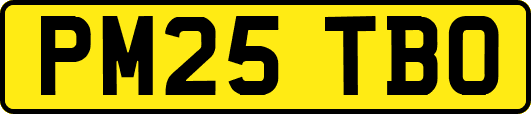 PM25TBO