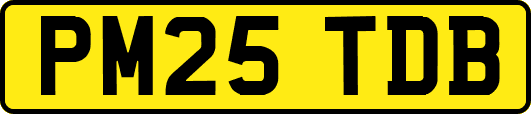 PM25TDB