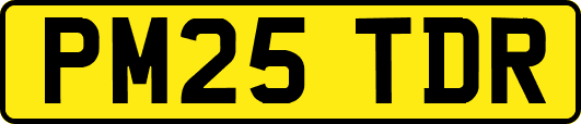 PM25TDR