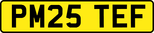 PM25TEF