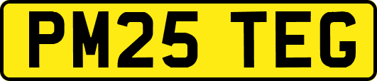 PM25TEG