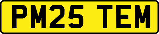 PM25TEM