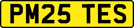 PM25TES