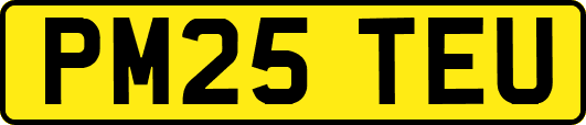PM25TEU