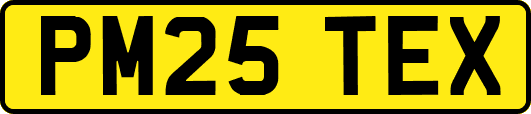 PM25TEX