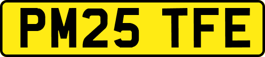 PM25TFE