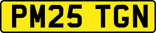 PM25TGN