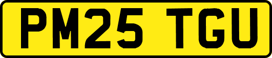 PM25TGU