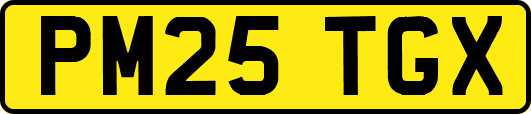 PM25TGX