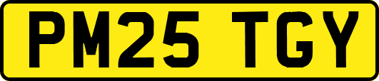 PM25TGY