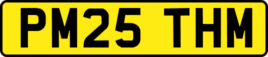 PM25THM