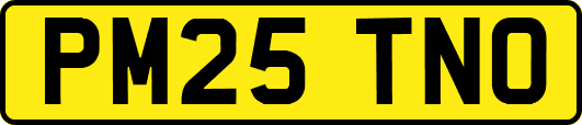 PM25TNO