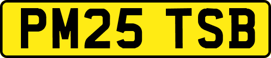 PM25TSB