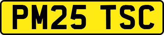 PM25TSC