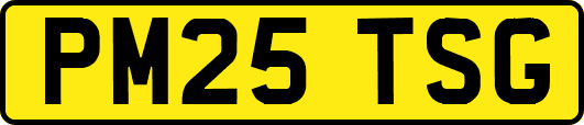 PM25TSG