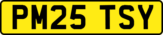 PM25TSY