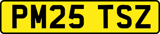 PM25TSZ