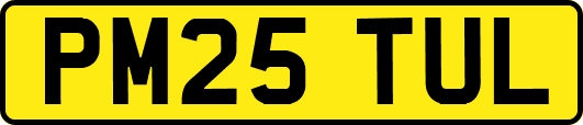 PM25TUL