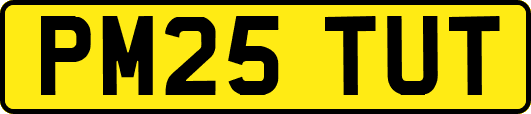 PM25TUT